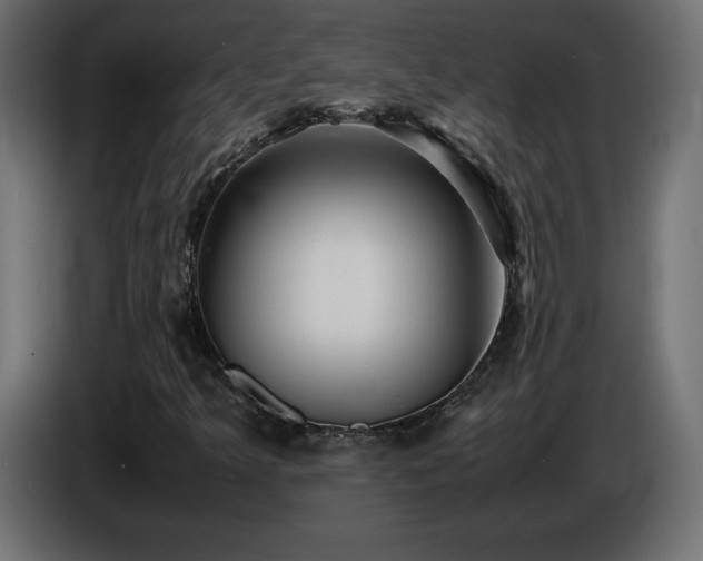 X0000087011349200704161534