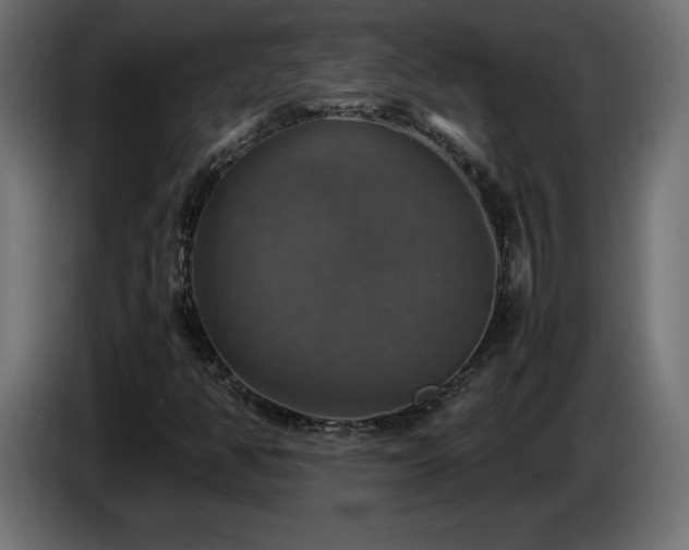 X0000087011350200704161534
