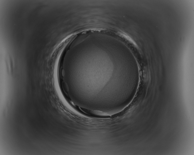 X0000087011352200704161534