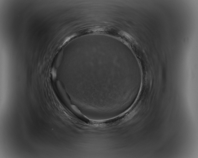 X0000087011353200704161534