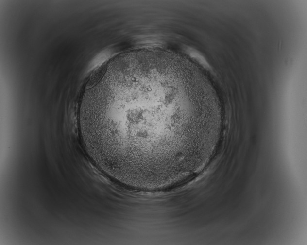 X0000087011354200704161534