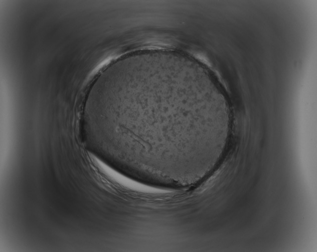 X0000087011355200704161534