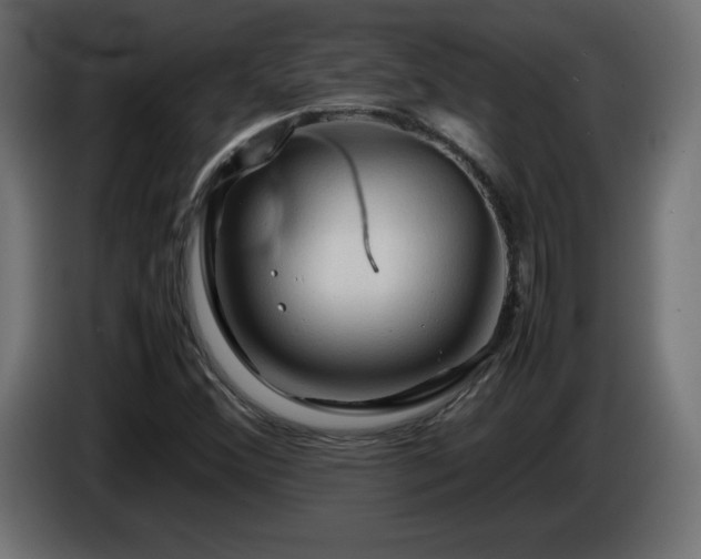 X0000087011356200704161534