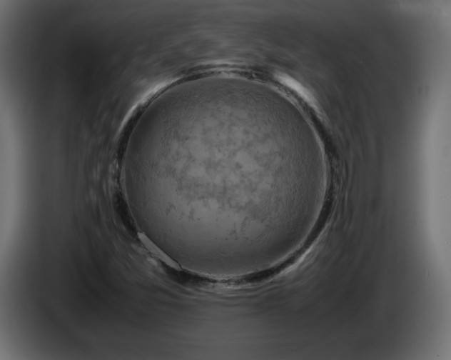 X0000087011357200704161534