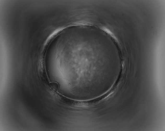 X0000087011358200704161534