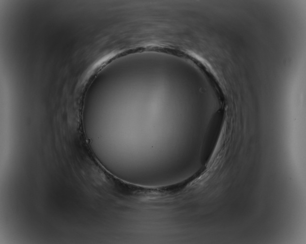 X0000087011359200704161534