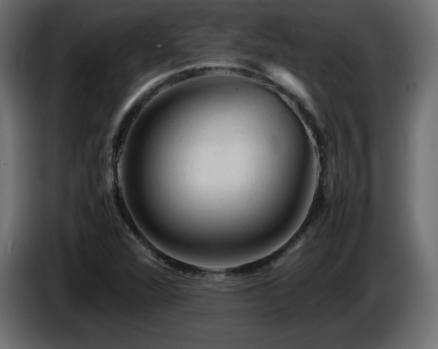 X0000087011360200704161534
