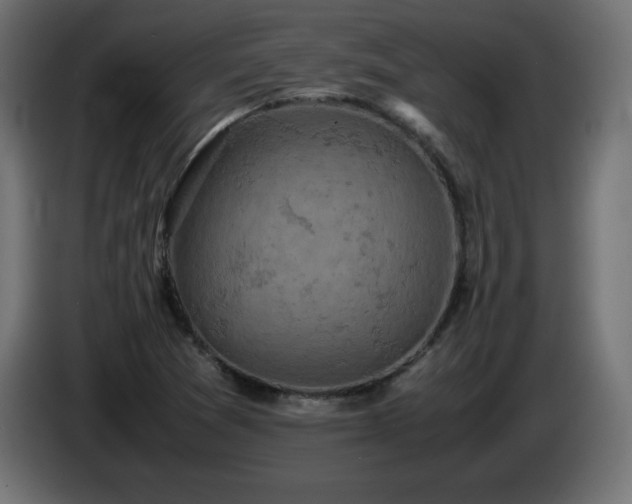 X0000087011361200704161534