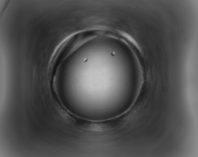 X0000087011364200704161534