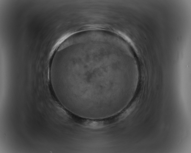 X0000087011365200704161534