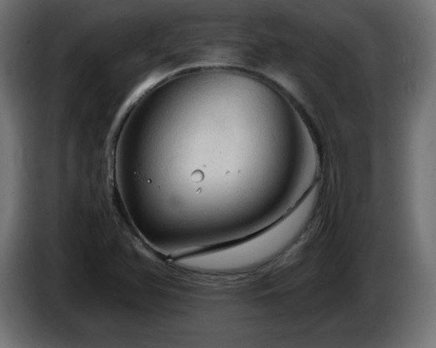 X0000087011366200704161534