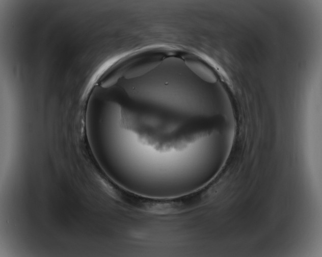 X0000087011367200704161534