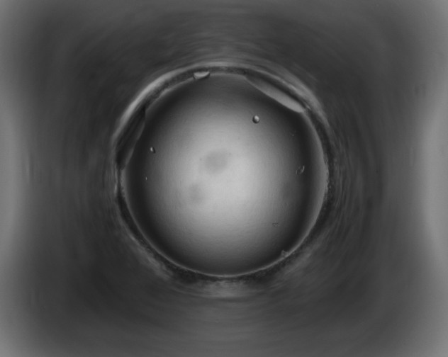 X0000087011368200704161534