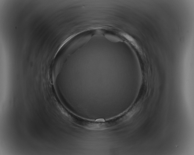X0000087011369200704161534