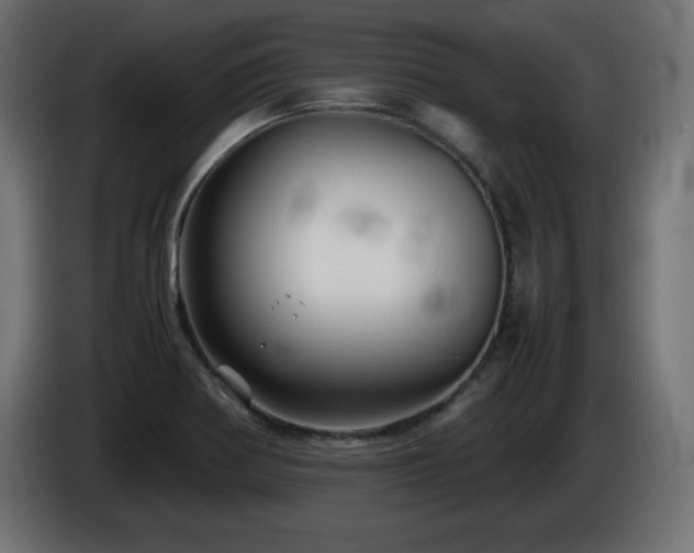 X0000087011370200704161534