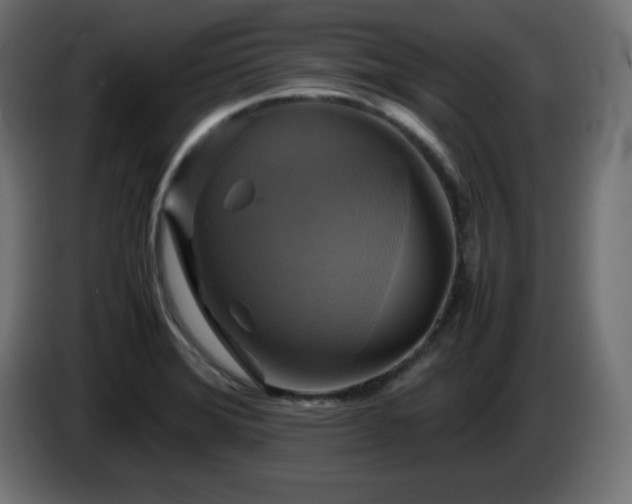 X0000087011372200704161534