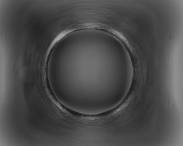 X0000087011373200704161534