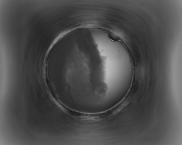 X0000087011374200704161534