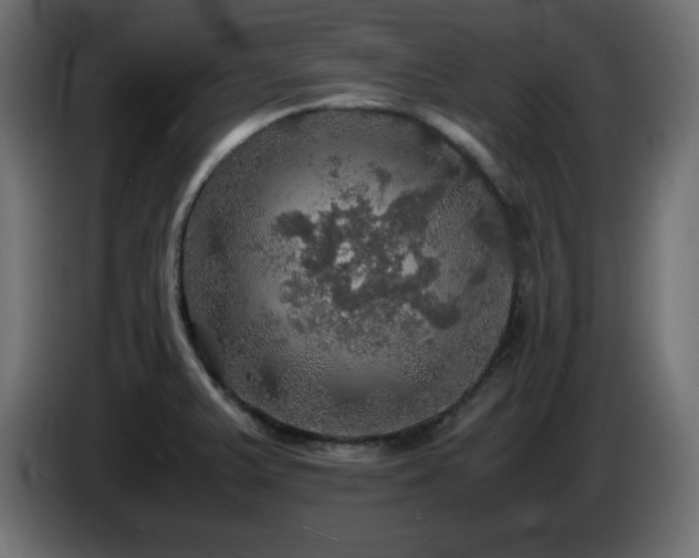 X0000087011375200704161534