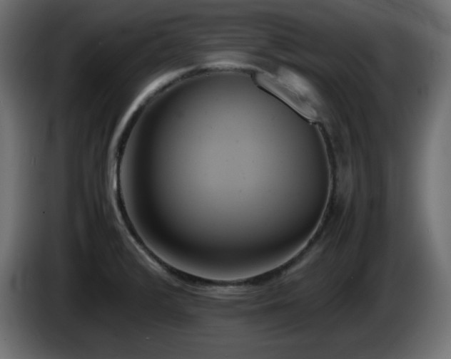 X0000087011376200704161534