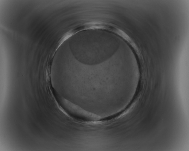 X0000087011377200704161534