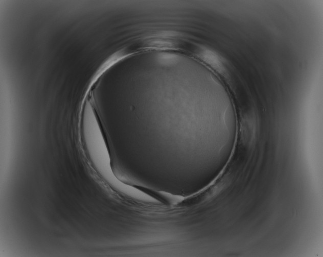 X0000087011378200704161534
