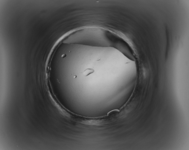 X0000087011380200704161534