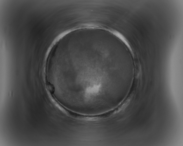 X0000087011381200704161534