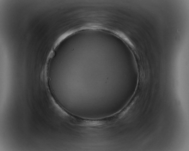 X0000087011382200704161534