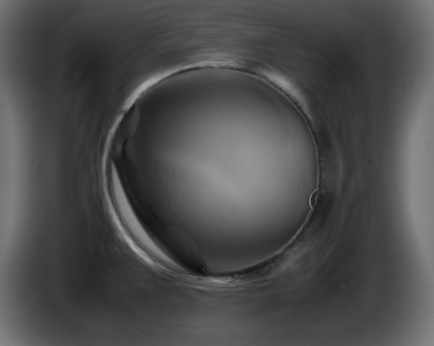 X0000087011383200704161534