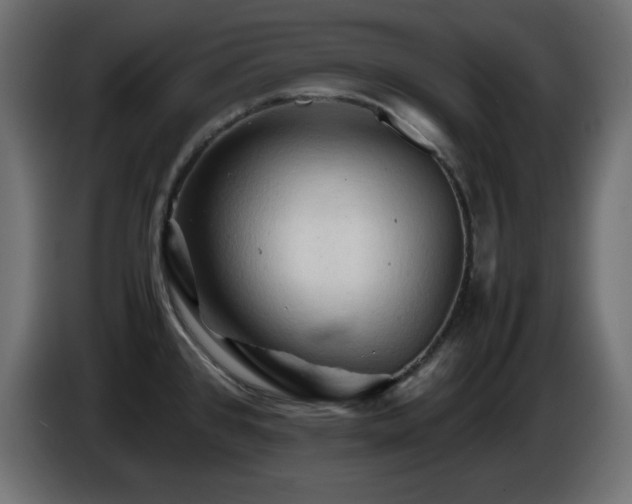 X0000087011384200704161534