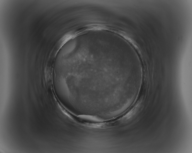 X0000087011385200704161534