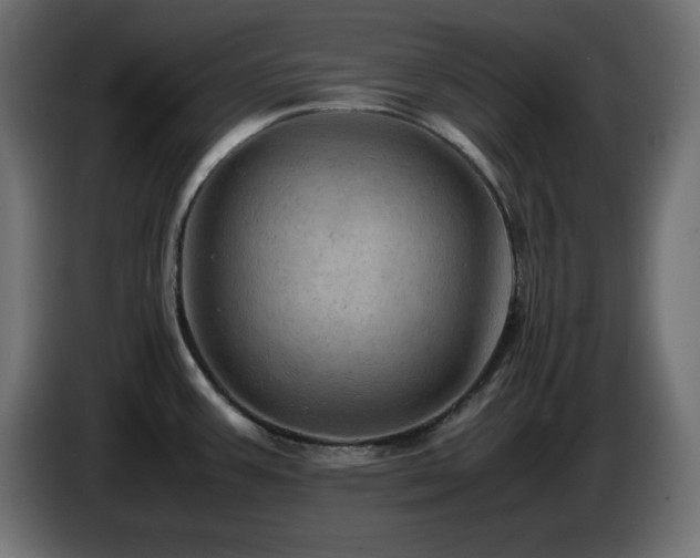 X0000087011387200704161534
