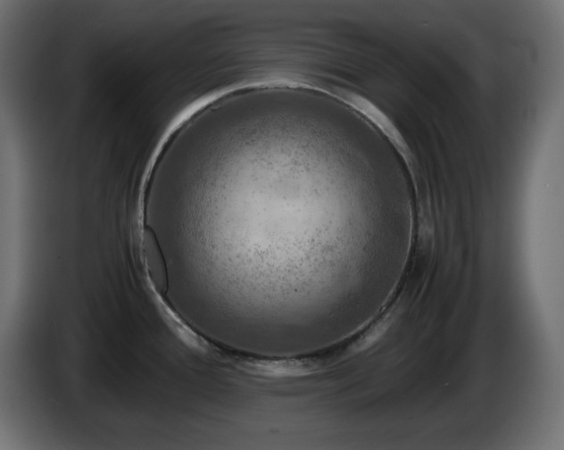 X0000087011388200704161534