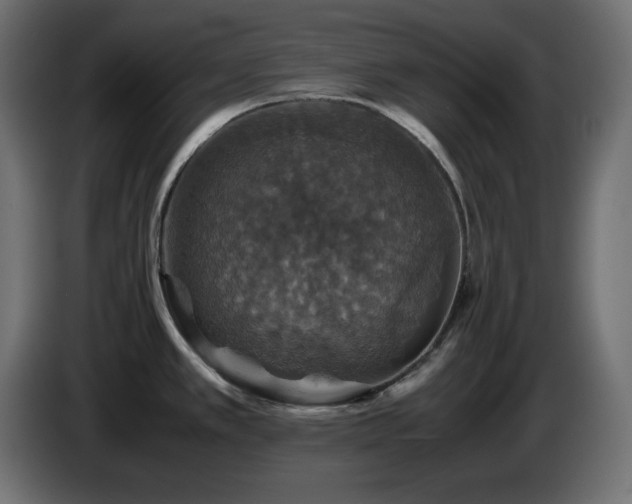 X0000087011389200704161534