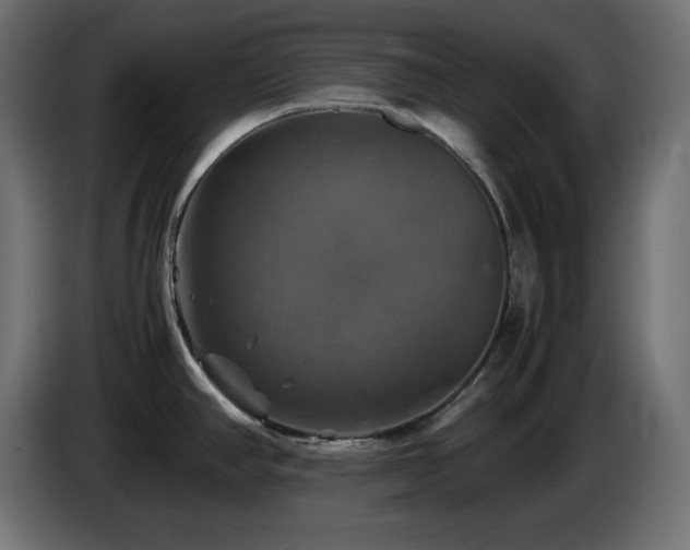 X0000087011390200704161534