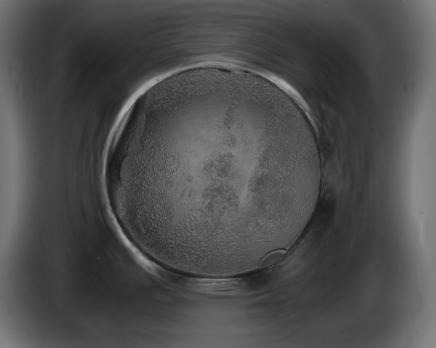 X0000087011391200704161534