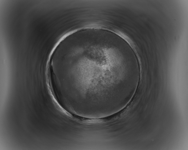 X0000087011392200704161534