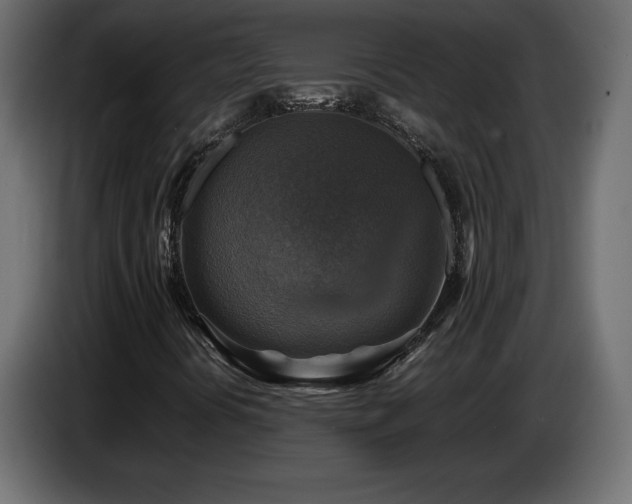 X0000087011394200704161533