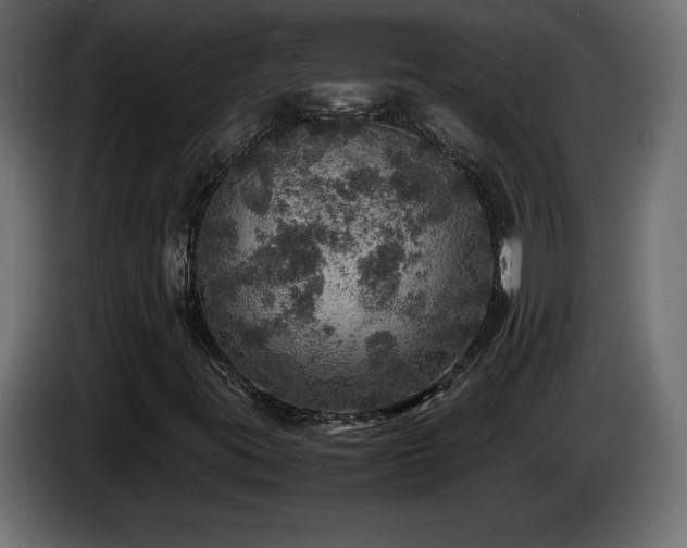 X0000087011395200704161533
