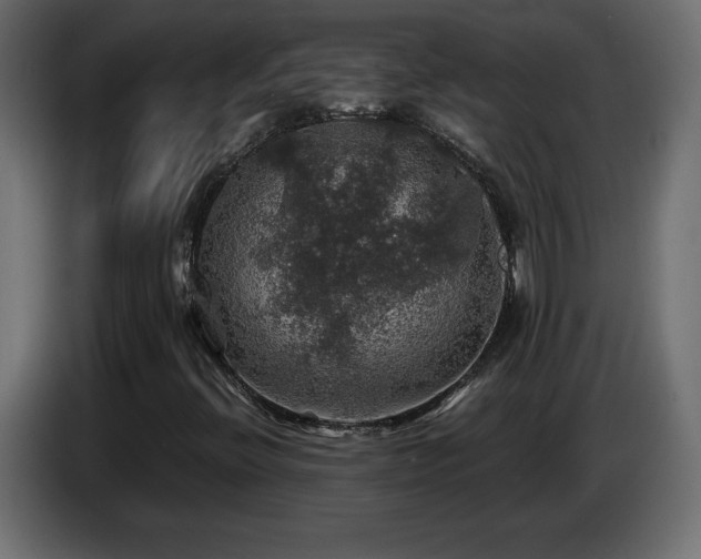 X0000087011396200704161533