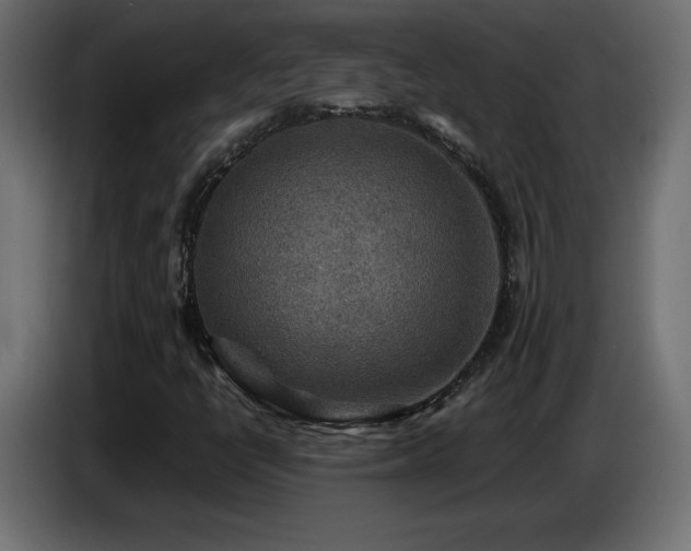X0000087011398200704161533