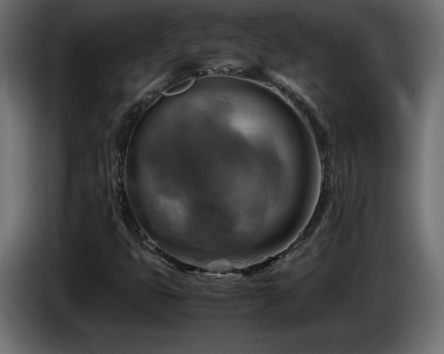 X0000087011399200704161533
