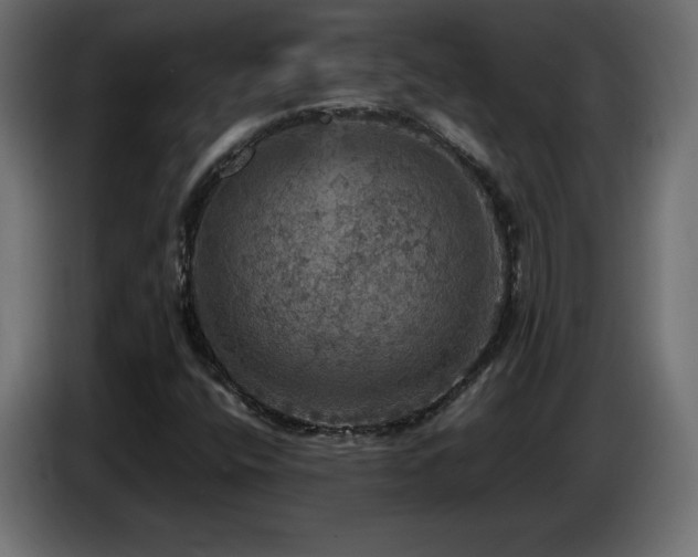 X0000087011400200704161533