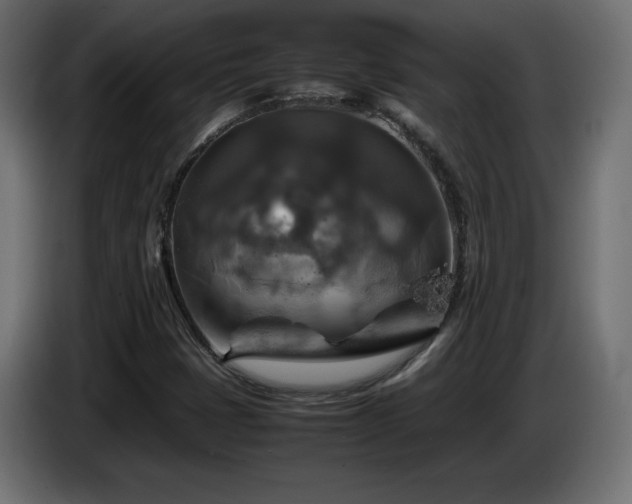 X0000087011401200704161533