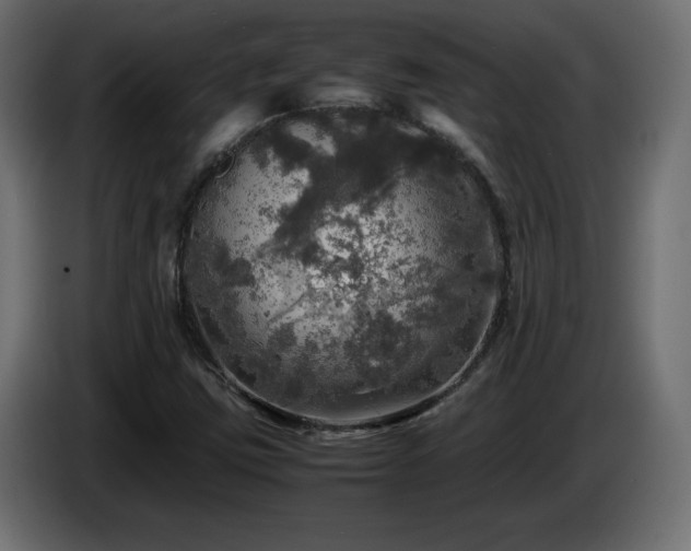 X0000087011403200704161533