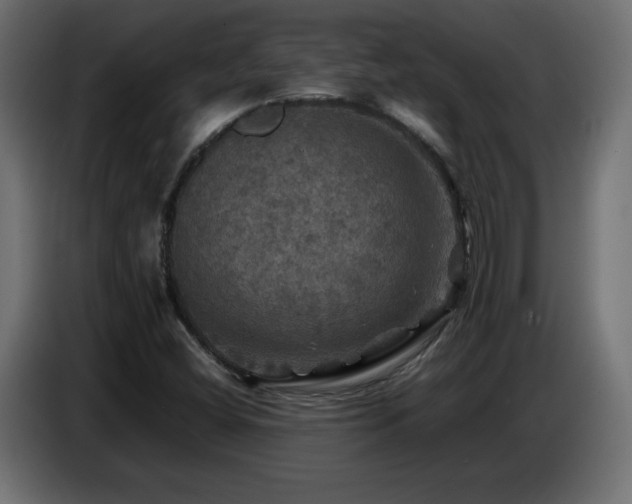 X0000087011404200704161533