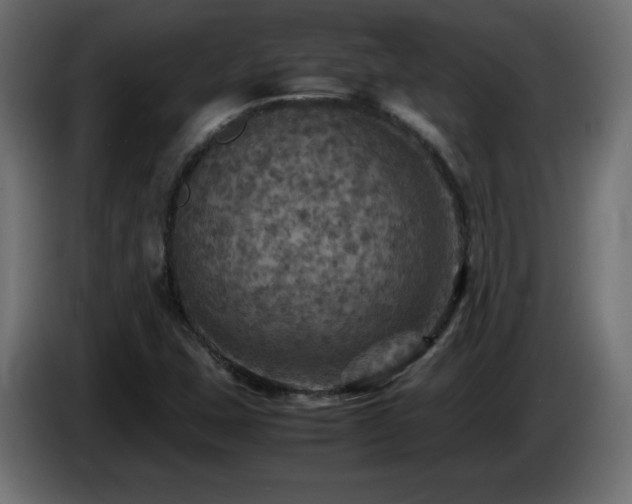 X0000087011407200704161533