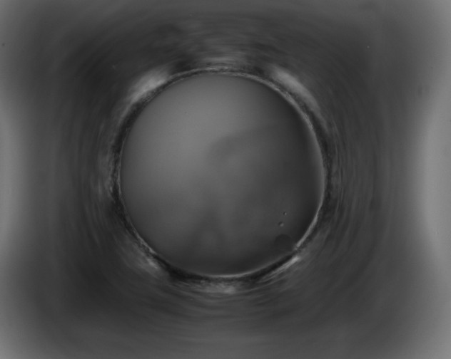 X0000087011411200704161533