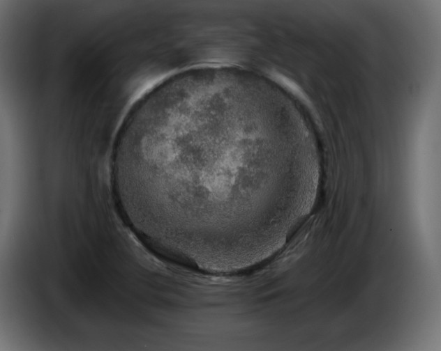 X0000087011412200704161533